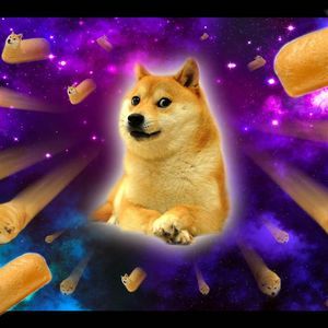 Meet your Posher, Evan